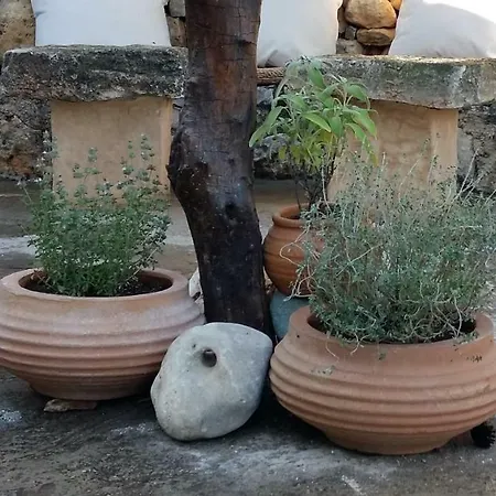 Bendeni Casa vacanze *